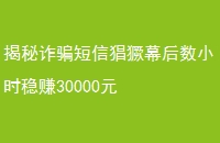 թƭŲĻСʱ׬30000Ԫ