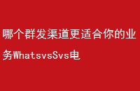 ĸȺʺҵWhatsvsSvsʼ