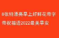 8ƯϺʻִף2022簲ʺףʻ