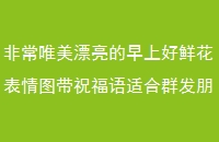 ǳΨƯϺʻͼףʺȺȦ簲ʺף̾
