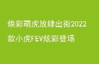 Ȼ2022СFEVŲʵǳ